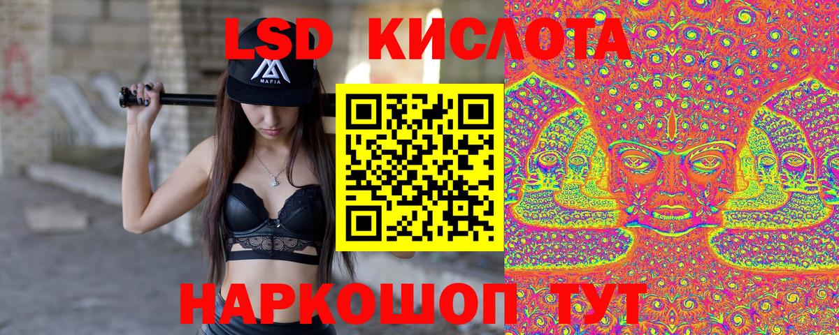Галлюциногенные грибы Санкт-Петербург