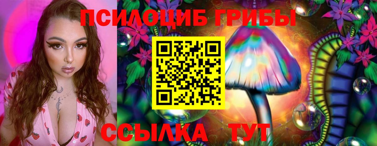 Галлюциногенные грибы ЛСД Санкт-Петербург