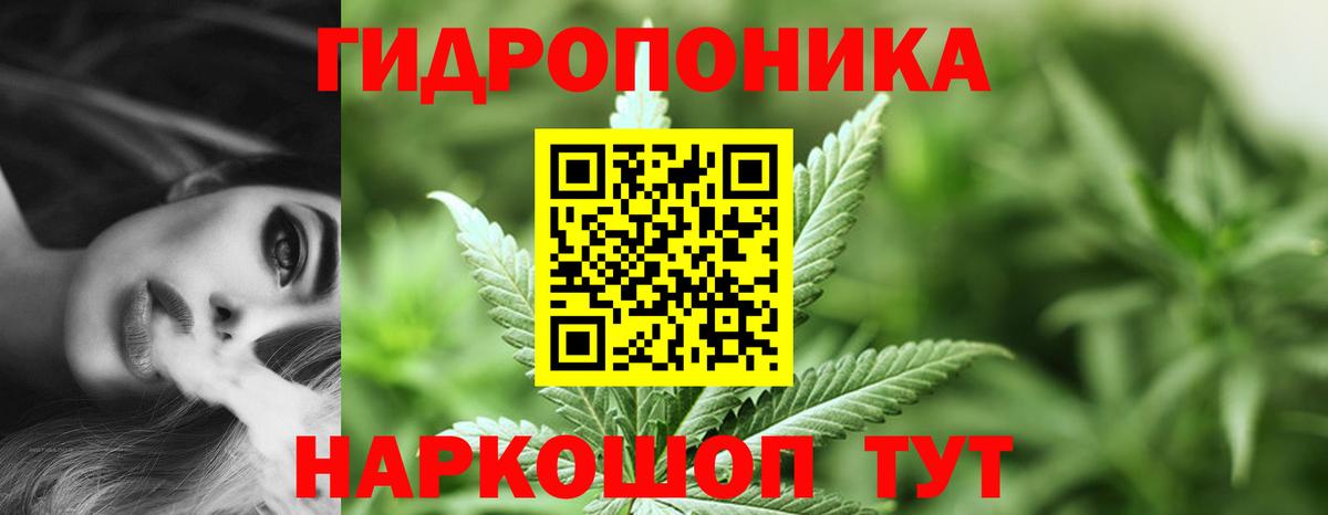 Бошки Шишки LSD WEED  Каннабис VHQ  Вход с VPN  Санкт-Петербург  Бошки Шишки гибрид 